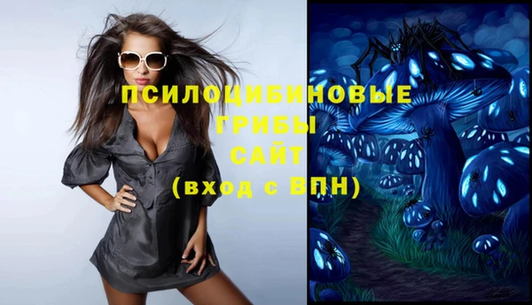 СК Алексеевка