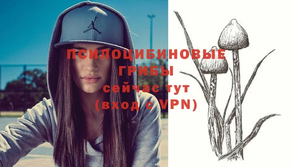 Альфа ПВП Алексин